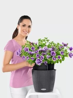 Lechuza® Nido Cottage Wicker Hanging Planter -Garden Care Shop 8591154GT 006V tif