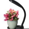 Agrobrite Desktop Plant Light -Garden Care Shop 8592052 1704z hydrofarm cfl grow light flexible neck adjustable height