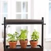 Micro Grow Light Garden -Garden Care Shop 8593235 2290 tif