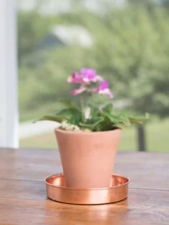 Extra Small Round Copper Plant Tray, 8" -Garden Care Shop 8593528 4522 tif