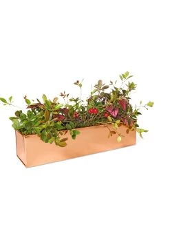 Tall Rectangular Copper Plant Tray, 18" X 5" X 4" 10 Tall Rectangular Copper Plant Tray, 18" X 5" X 4" -Garden Care Shop 8593534 2899 tif