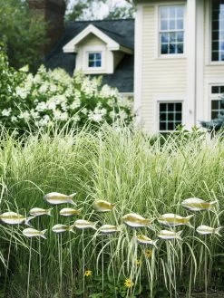 Fish Out Of Water Garden Stakes, Set Of 5 -Garden Care Shop 8593672 9124 tif