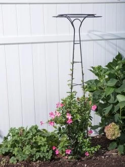 Essex Tuteur, 63" -Garden Care Shop 8594162 0023 tif