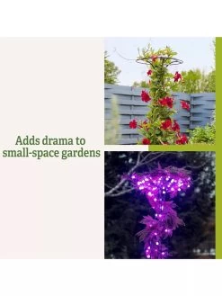 Essex Tuteur, 63" -Garden Care Shop 8594162 3