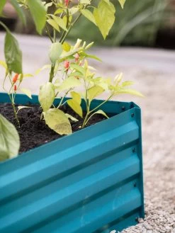 Demeter Corrugated Metal Raised Bed, 34" X 68" -Garden Care Shop 8594183 470 tif 1