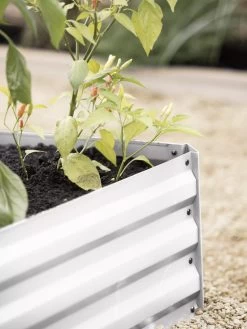 Demeter Corrugated Metal Raised Bed, 34" X 34" -Garden Care Shop 8594183 570 tif