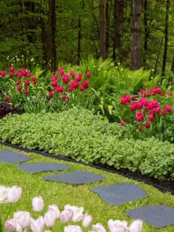 Recycled Rubber Flagstone Stepping Stone -Garden Care Shop 8594282 518 tif