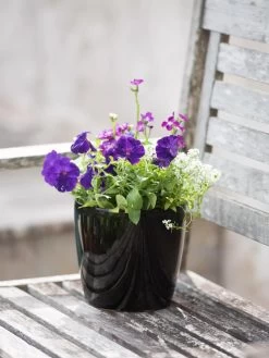 Viva Round Self-Watering Planter, 7" Diameter -Garden Care Shop 8595222 1140 tif