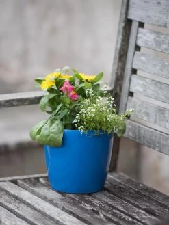 Viva Round Self-Watering Planter, 7" Diameter -Garden Care Shop 8595222 1143 tif