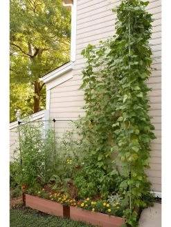 Stack & Extend Veggie Wall 9 Stack & Extend Veggie Wall -Garden Care Shop 8595683 07V 3 4