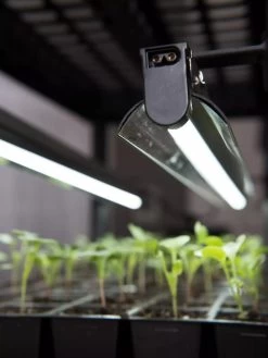 LED Stack-n-Grow Lights - Base Unit 7 LED Stack-n-Grow Lights - Base Unit -Garden Care Shop 8595770 7346 tif