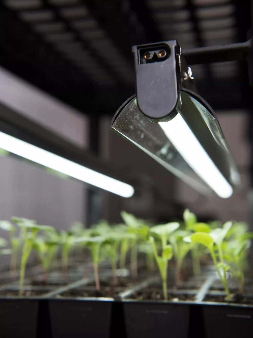 LED Stack-n-Grow Lights - Base Unit 4 LED Stack-n-Grow Lights - Base Unit - Image 2