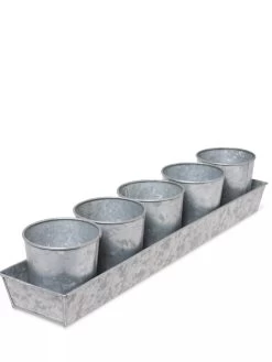 Galvanized Herb Planters With Rectangular Tray 9 Galvanized Herb Planters With Rectangular Tray -Garden Care Shop 8595903 3924 tif