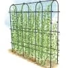 Titan Pea Tunnel -Garden Care Shop 8596275 0002 1 tif