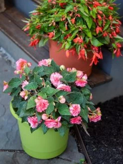 Eezy Gro Self-Watering Planters -Garden Care Shop 8596427 0034 tif