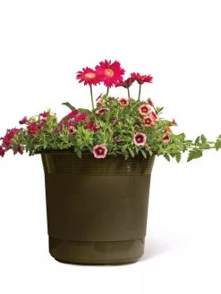 Eezy Gro Self-Watering Planters -Garden Care Shop 8596427 108 tif