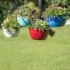 Viva Self-Watering Hanging Basket, 14" Diameter -Garden Care Shop 8596442 0851 tif