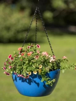 Viva Self-Watering Hanging Basket, 14" Diameter -Garden Care Shop 8596442 0876 tif