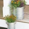 Galvanized Rim Planters -Garden Care Shop 8597442 1700 tif