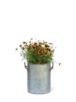 Galvanized Rim Planters -Garden Care Shop 8597442 1705 tif