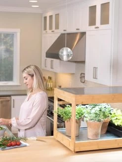 Low Bamboo LED Grow Light Garden 24 Low Bamboo LED Grow Light Garden -Garden Care Shop 8597720 0816 tif