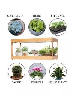 Low Bamboo LED Grow Light Garden 19 Low Bamboo LED Grow Light Garden -Garden Care Shop 8597720 3