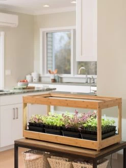 Low Bamboo LED Grow Light Garden 16 Low Bamboo LED Grow Light Garden -Garden Care Shop 8597720 9388 tif