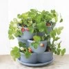 Stacking Strawberry Pot -Garden Care Shop 8597996 9004 tif