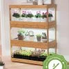 Bamboo LED Grow Light Garden For Succulents And Seeds -Garden Care Shop 8598084 6i