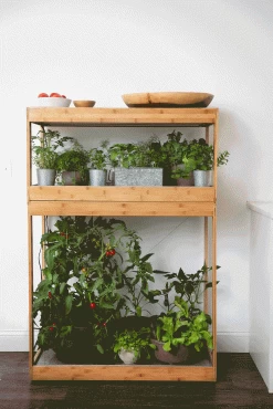 Bamboo Home LED Grow Light Garden 18 Bamboo Home LED Grow Light Garden -Garden Care Shop 8598088 BambooLEDHomeGarden light gif