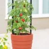 Gardener’s Victory Self-Watering Planter With Support System -Garden Care Shop 8598384 6012 tif 1