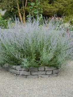 Rock Lock Interlocking Garden System, Curved Sets -Garden Care Shop 8598737 04V tif