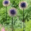 Allium Starburst Stake -Garden Care Shop 8598981 13717 tif