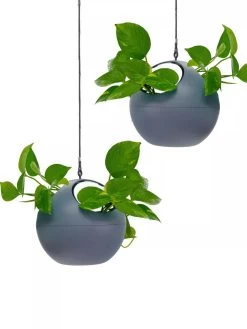 Exaco Euro Hanging Planters, Set Of 2 -Garden Care Shop 8599179 04V tif