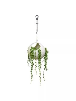 Exaco Euro Hanging Planters, Set Of 2 -Garden Care Shop 8599179 06V tif
