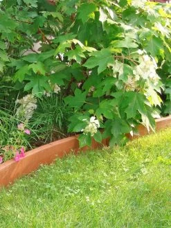 Curved Landscape Edging Kit With 2" Boards -Garden Care Shop 8599407 03V tif