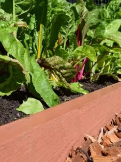 Straight Landscape Edging Kit With 2" Boards -Garden Care Shop 8599408 02V tif