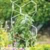 Gardener's Vertex Lifetime Pepper And Eggplant Cage -Garden Care Shop 8599554 3000 tif