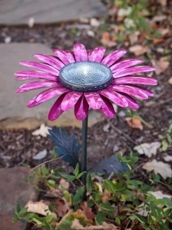 Desert Steel Daisy Solar Light 7 Desert Steel Daisy Solar Light -Garden Care Shop 8599556 05V tif