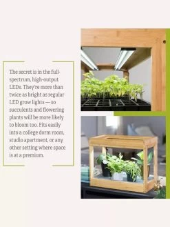 Bamboo Mini LED Grow Light Garden 20 Bamboo Mini LED Grow Light Garden -Garden Care Shop 8599624 06