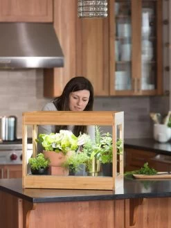 Bamboo Mini LED Grow Light Garden 15 Bamboo Mini LED Grow Light Garden -Garden Care Shop 8599624 12532 tif