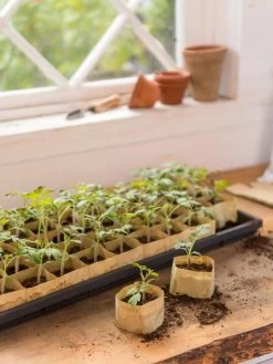 Paper Pots, 50 Cell 11 Paper Pots, 50 Cell -Garden Care Shop 8599830 0502 paper pots 50 cell tif