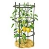Titan Pepper Eggplant Cages, Set Of 3 -Garden Care Shop 8599859 0001 art tif