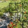 Titan Tomato Cages, Set Of 3 -Garden Care Shop 8599861 0049 tif