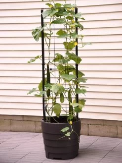 Gardener’s Victory Self-Watering Planter Garden With Vine Trellis 11 Gardener’s Victory Self-Watering Planter Garden With Vine Trellis -Garden Care Shop 8600177 9876 tif 1