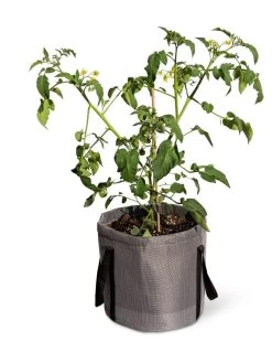 Reinforced Colorful Grow Bags -Garden Care Shop 8600229 0944 tif