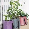 Reinforced Colorful Grow Bags 2 Reinforced Colorful Grow Bags -Garden Care Shop 8600229 19957 tif
