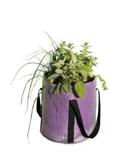 Reinforced Colorful Grow Bags -Garden Care Shop 8600230 0948 tif