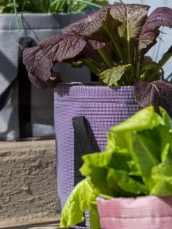 Reinforced Colorful Grow Bags -Garden Care Shop 8600230 20013 tif