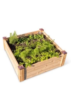 Copper Cap Raised Beds -Garden Care Shop 8600496 0101 tif